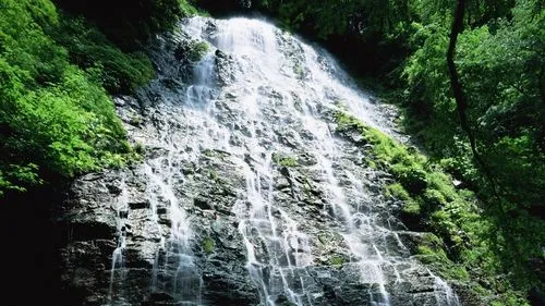 节能智能化